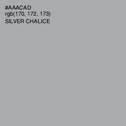 #AAACAD - Silver Chalice Color Image